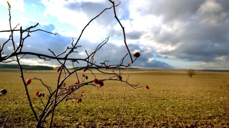 Zemědělce trápí sucho