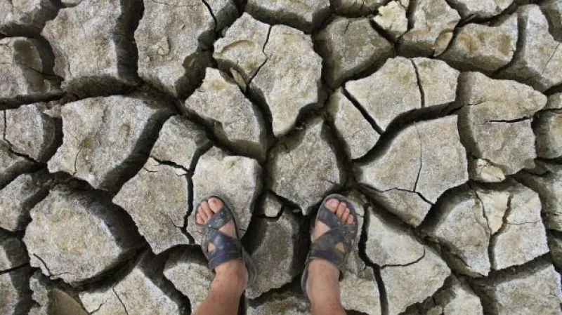 Rozhovor s Tomášem Halenkou