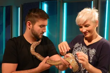 Dobré ráno bude „mít otevřeno“