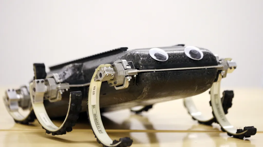 Robot RHex se předvedl veřejnosti