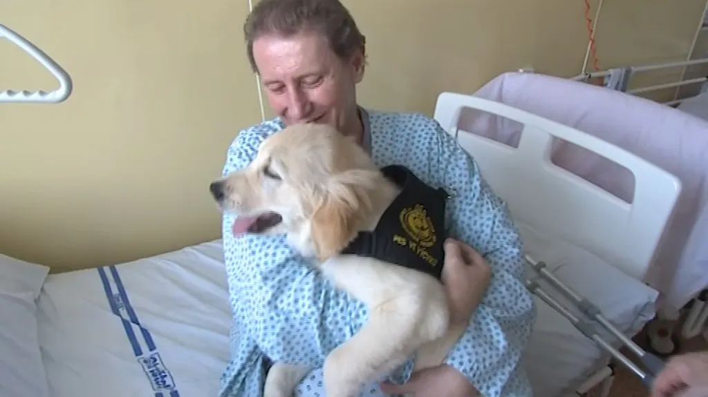 Senioři v nemocnici se na psí společnost těší