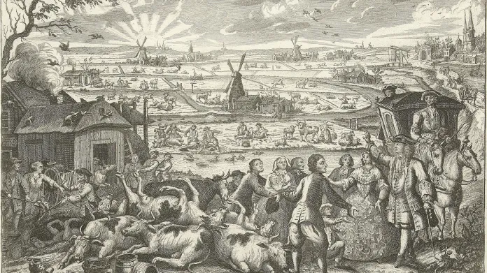 Mor skotu na začátku 18. století v Nizozemí