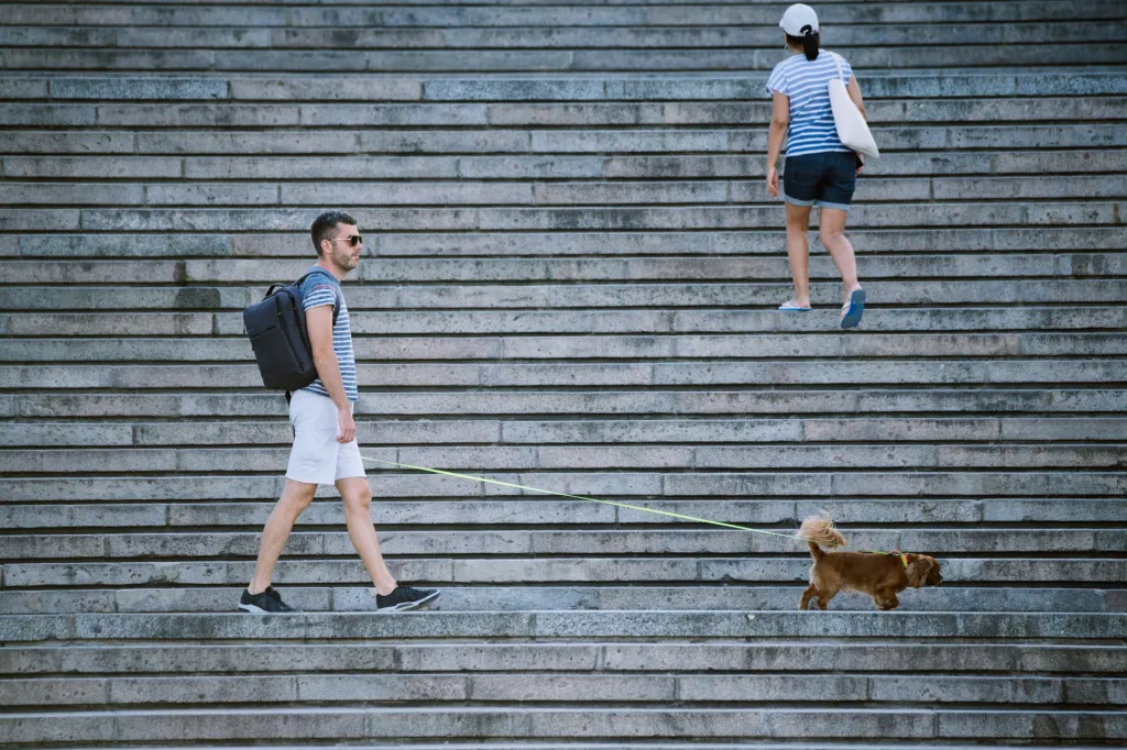 Série fotografií Jana Hromádka „Potěmkinovo schodiště“