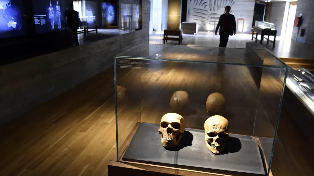 Archeopark v Pavlově