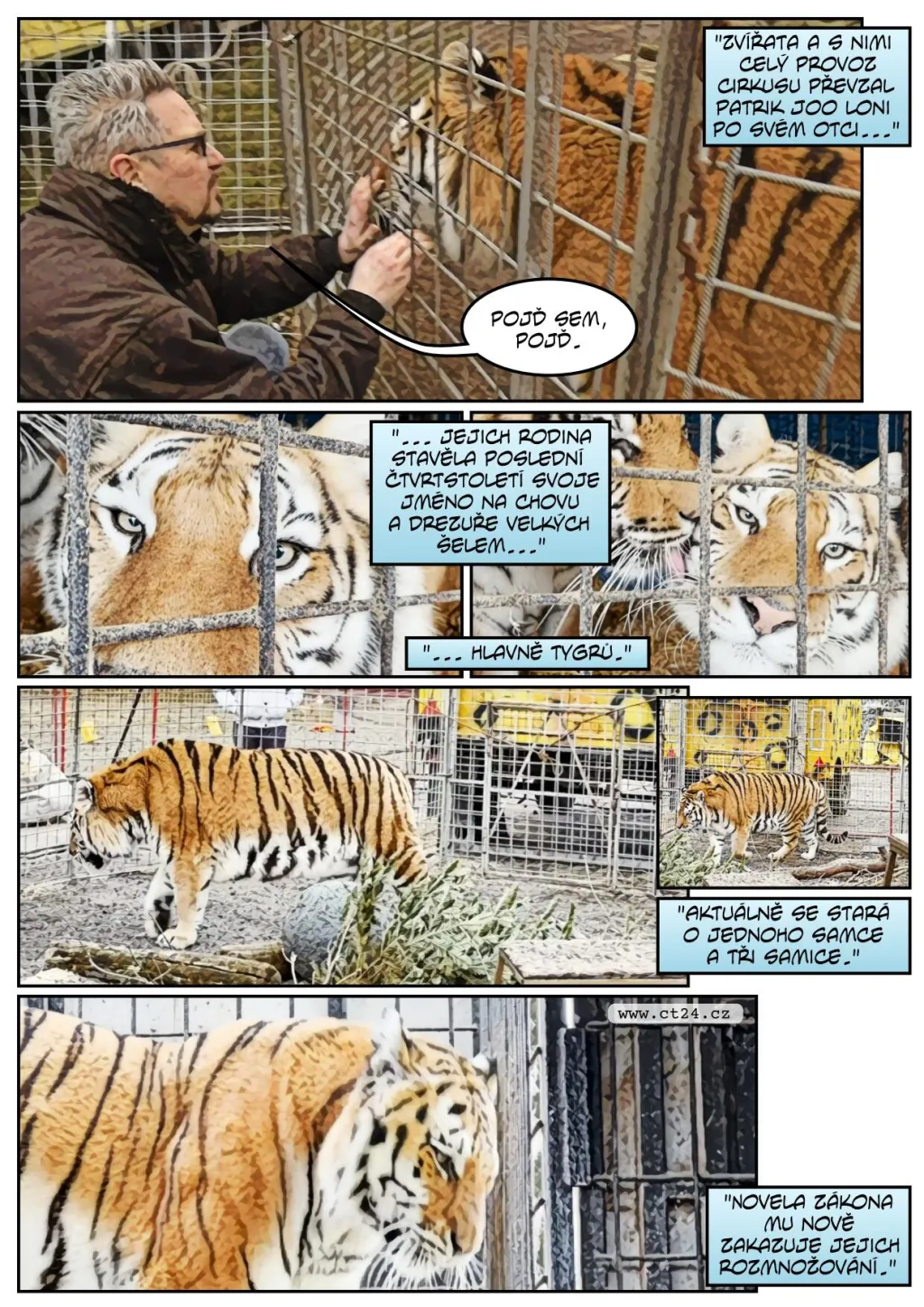 Nový zákon proti týrání zvířat