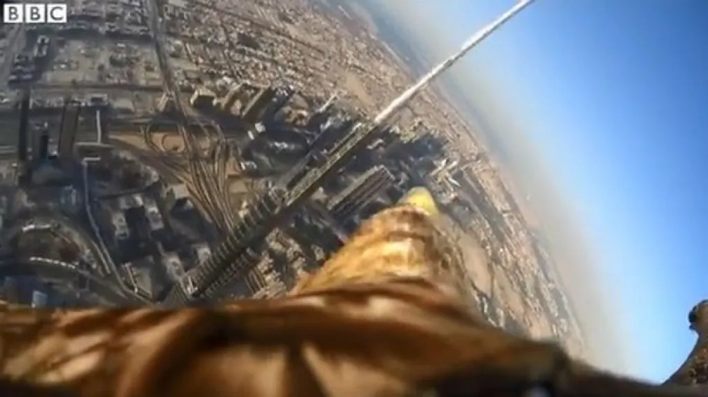 Dubaj pohledem orla