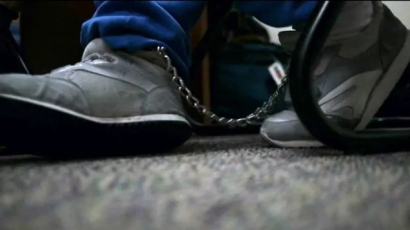 Karuselové obchody stojí stát ročně 100 miliard