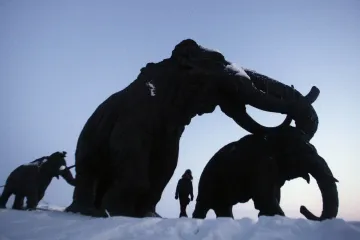 Brněnští vědci nahlédli do mamutích žaludků. A poodhalili podobu pravěkého světa