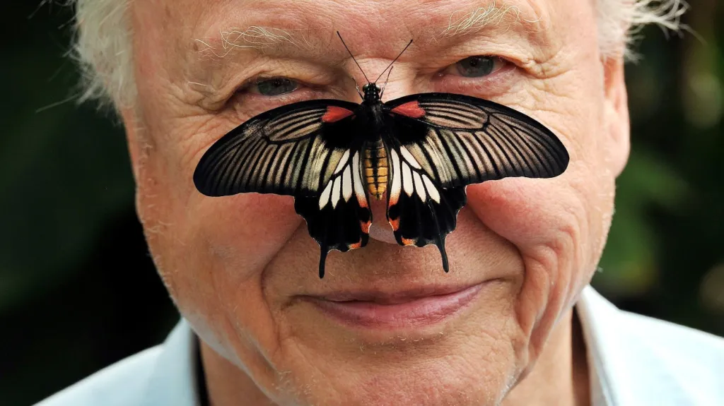 David Attenboroug