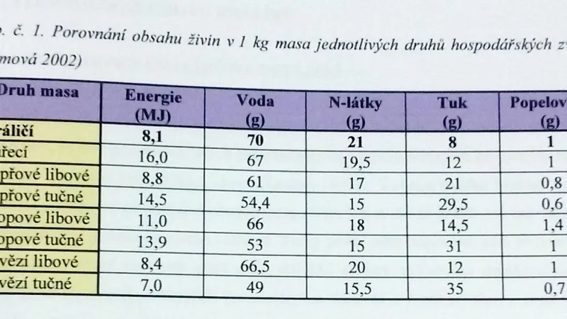 Tabulka v práci Taťány Malé