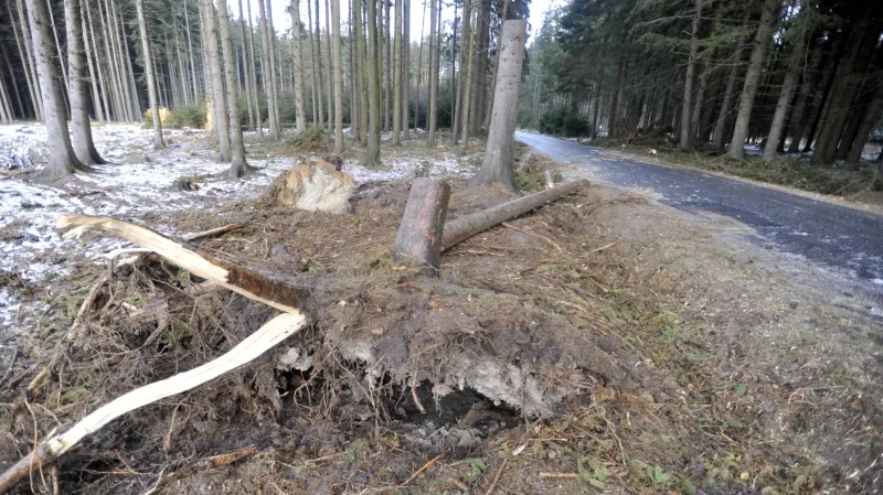 Kvůli popadaným stromům na vozovce byl 3. února ráno přerušen provoz na silnici III/3547 z Krouny do Čachnova na Chrudimsku.