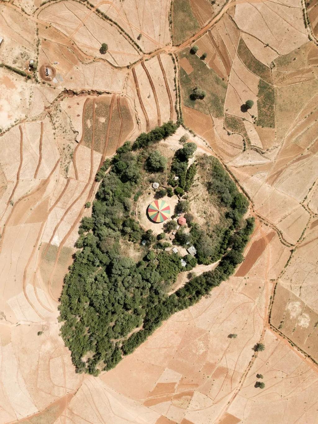 Kieran Dodds (kategorie Krajina). „Etiopie ztratila 95 procent svých původních lesů kvůli lidské činnosti v minulém století. Malý zbytek lesa obklopuje skupinu domů kolem kostela Tewahedo. Místní populace se navíc v následujících třiceti letech zdvojnásobí. Těchto lesních ostrůvků jsou v zemi tisíce, ale postupně zřejmě zmizí i ony. Každý z nich je pro své obyvatele miniaturní zahradou Eden. Tyto genetické depozitáře jsou pro přežití lidí v Etiopii životně důležité.“