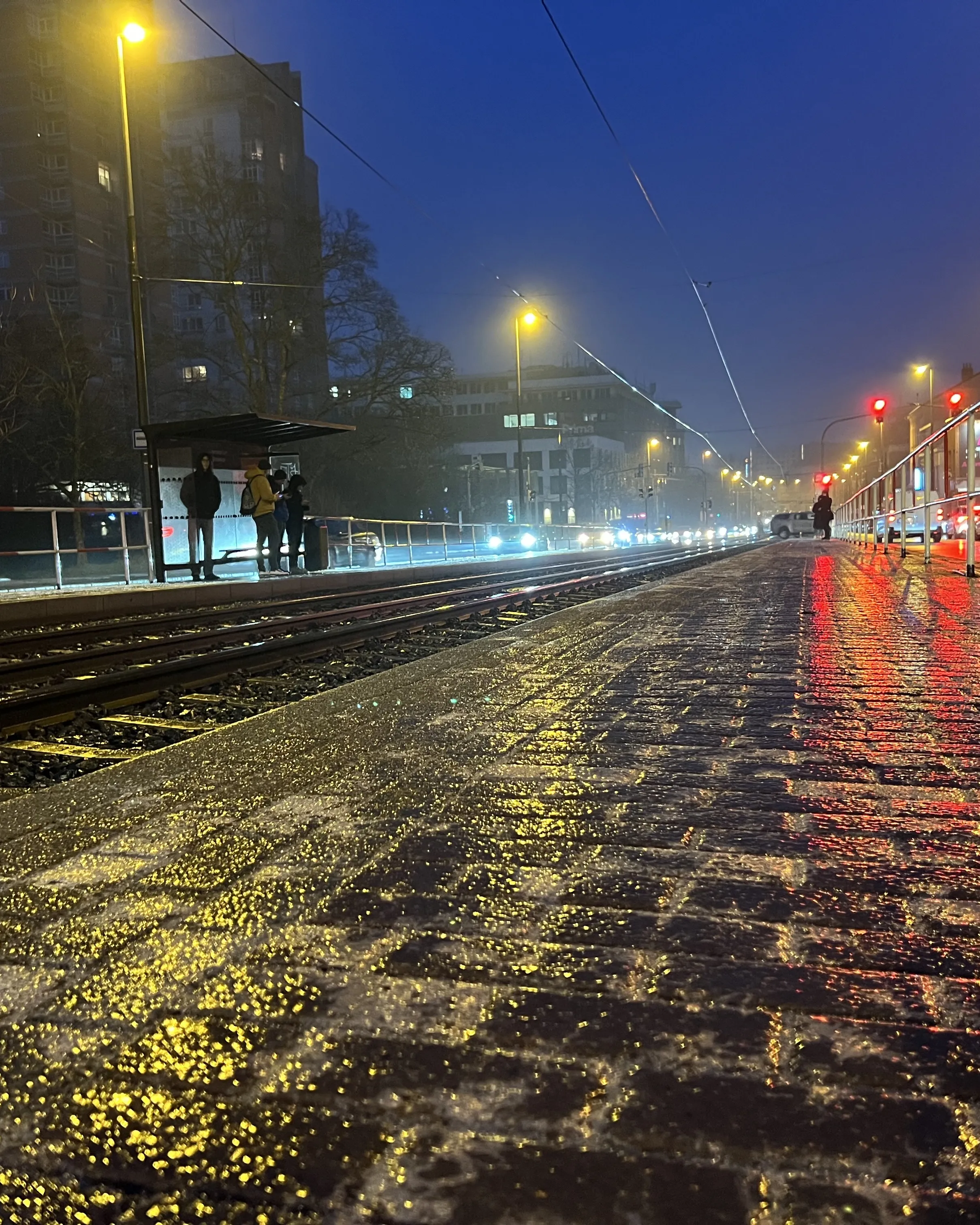 Po mrznoucím dešti hrozí silná ledovka. Podívejte se, kolik spadne srážek u vás