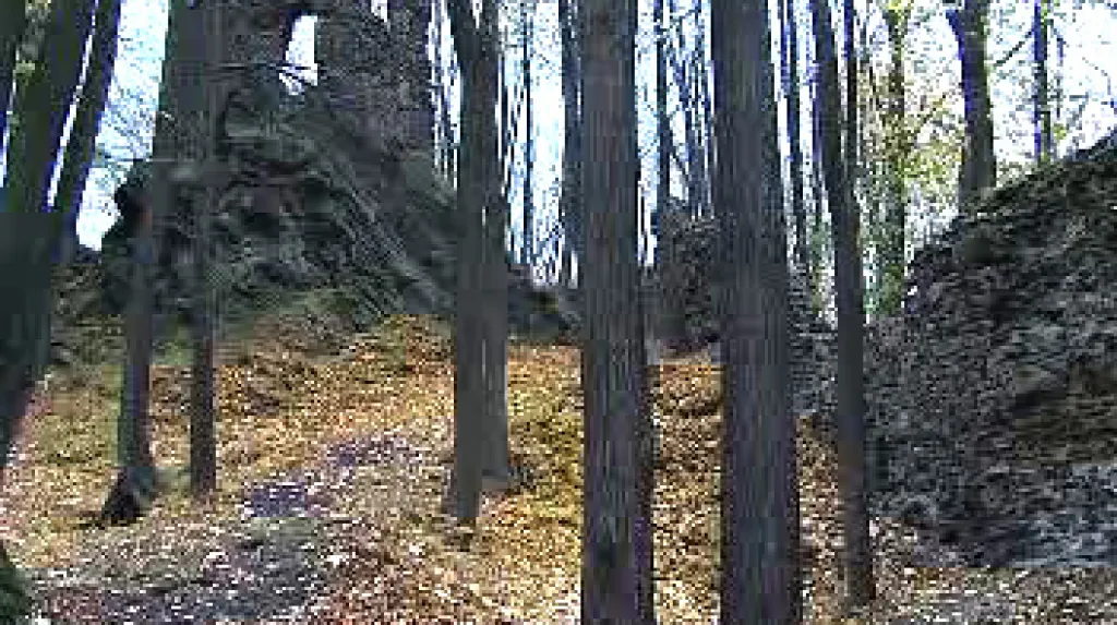 Zřícena Hamrštejn