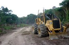 Kongo chce uvolnit těžbu dřeva. Vědci apelují na zastavení pomoci, pokud tak učiní
