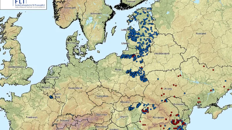 Rozšíření afrického moru prasat v Evropě k 4. 6. 2019