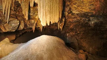 Celý jeskynní systém tvoří: Sloupsko-šošůvské jeskyně, jeskyně Nová Rasovna, jeskyně Piková dáma, Spirálka, C 13, Stará a Nová Amatérská jeskyně, propast Macocha a ve vývěrové části Punkevní jeskyně.