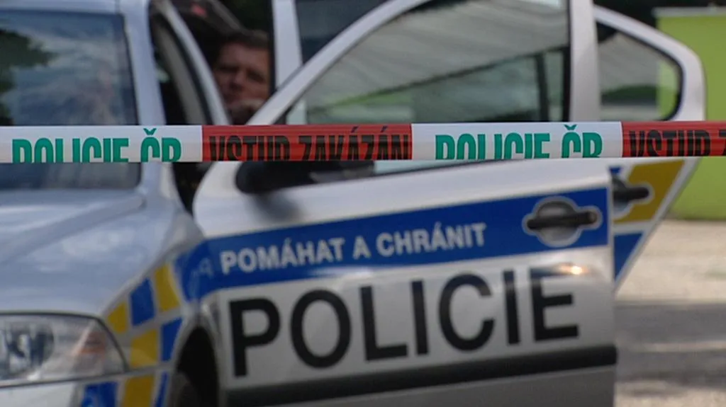 Policejní zásah