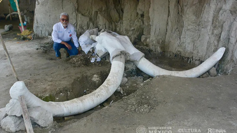 Paleontologické nálezy v Mexiku