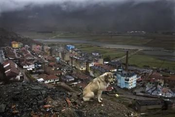 AVÍZO: Výstava fotografií z Albánie v Chebu