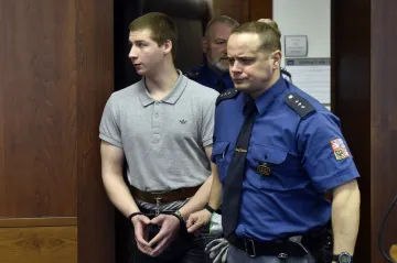 Za brutální vraždu ženy v Polance nad Odrou poslal soud mladíka do vězení na dvacet let