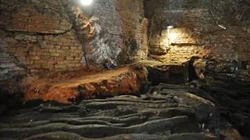 Zbytky dřevěné hradby v podzemí břeclavského zámku