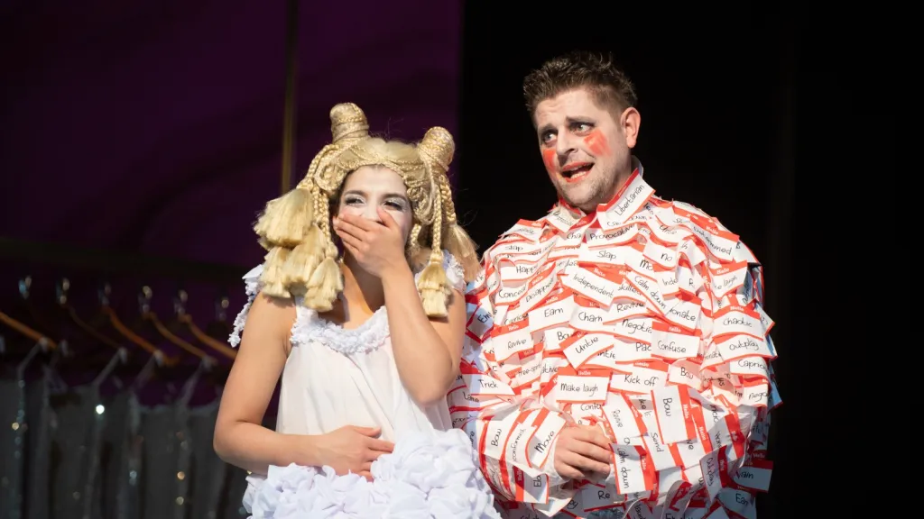 Figarova svatba v Divadle J. K. Tyla