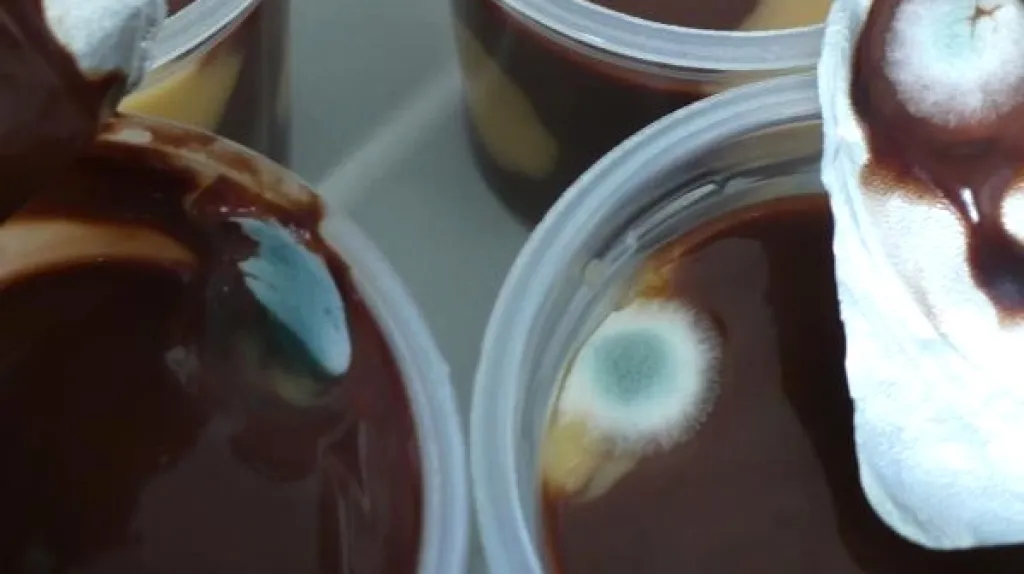 Plesnivý pudink Dr. Oetker PAULA Choco