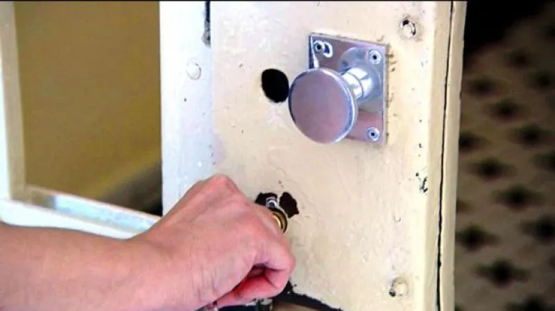 Dvě třetiny amnestovaných jsou již na svobodě