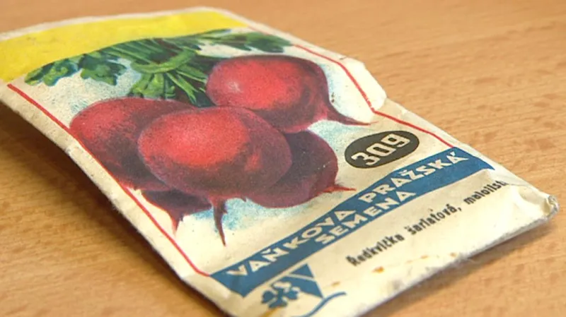 Původní obal na semena ředkviček