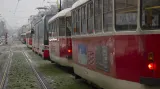 Ledovka a tramvaje