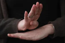 Roušky ztěžují porozumění a vládní brífinky jsou psychicky náročné, říká tlumočník do znakového jazyka