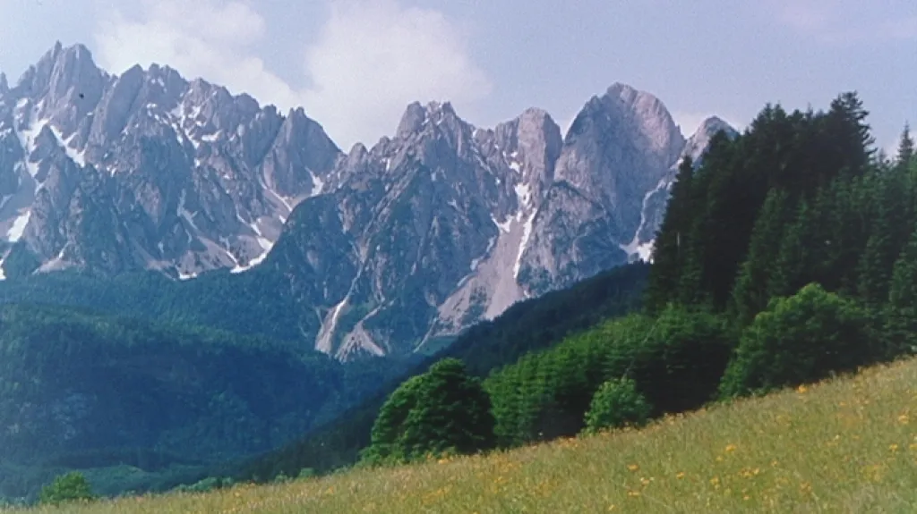 Alpy