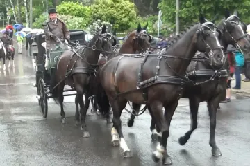 Den koně v Lomnici nad Popelkou