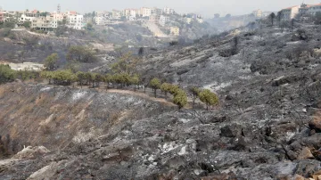 Plameny sežehly lesy u libanonského města Damúr