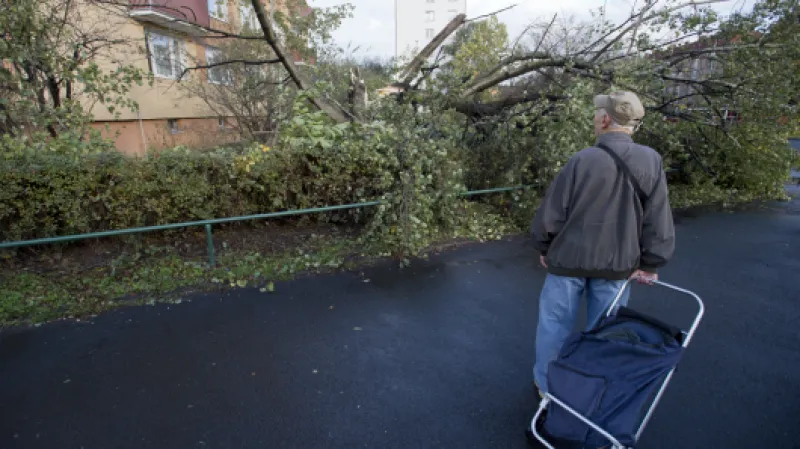 Zlomený strom v pražských Strašnicích,  Autor: Kamaryt Michal,  Zdroj: ČTK