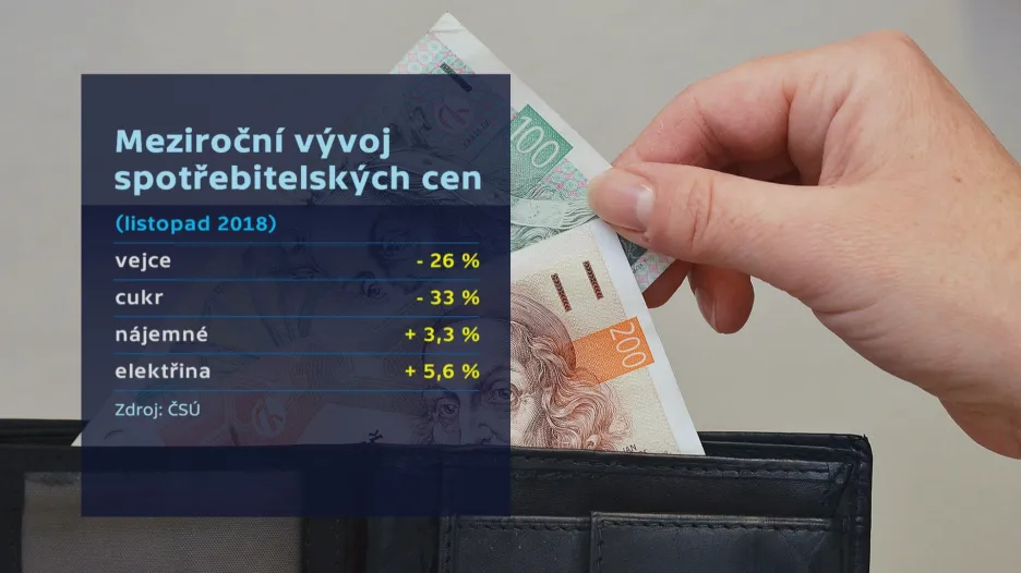 Meziroční vývoj spotřebitelských cen