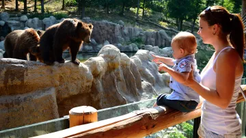 Zoo láká na kamčatské medvědy