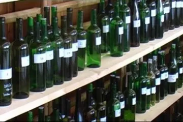 Výstava s koštem vín v Traplicích