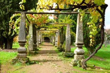 Portské s příchutí van Goghových slunečnic a brazilského slumu