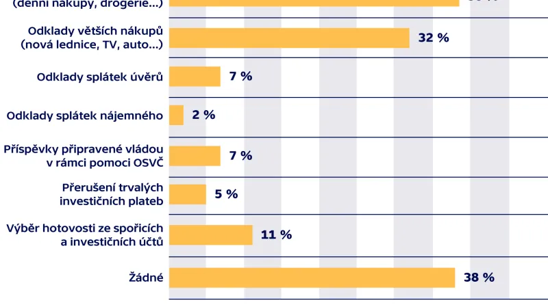 Reakce českých domácností na pandemii