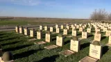 Hroby sovětských vojáků