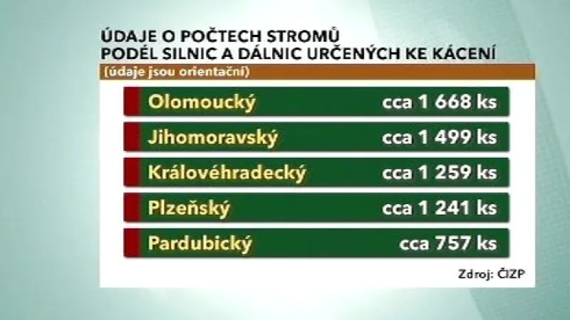 Stromy určené ke kácení