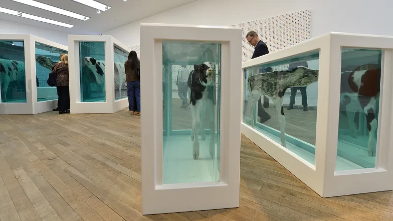 Zvířata ve formaldehydu od Damiena Hirsta