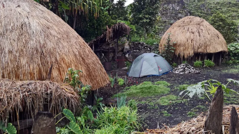 Ekosystém raka nažloutlého