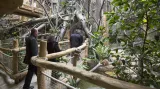 Pavilon Evoluce v ostravské zoo