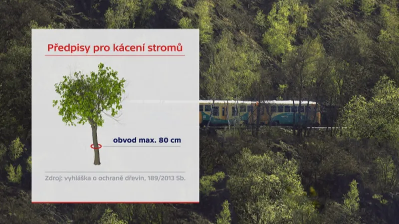 Předpisy pro kácení