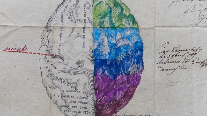 Naděžda Plíšková vytsvauje v Topičově salonu