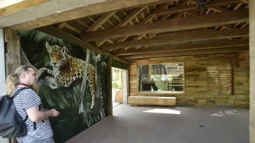 Jaguar Trek v Zoo Zlín