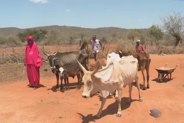 Za poslední rok ve světě přibylo čtyřicet milionů hladovějících. Válka na Ukrajině to může ještě zhoršit